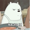 NAJIS IH