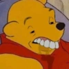 Winnie Pooh 🍯 5