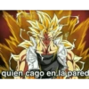 @vino pastillas quien cago en la pared