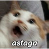 astaga