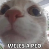WELES A PEO
