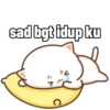 Peach cute cat 10