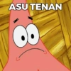 ASU TENAN
