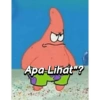 Apa Lihat"?