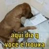 aqui diz q você é trouxa