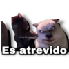 Vecinos Invasores 7