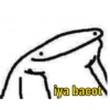  Bacot 10