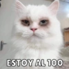 ESTOY AL 100