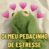OI MEU PEDACINHO
DE ESTRESSE