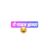 ये गाढव झव्या C