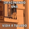 IMAGINANDO
UNA
VIDA A TU LADO