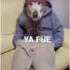 THERAUSER URE NOT YA FUE