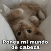 @Harley_Stickers
Pones mi mundo
de cabeza