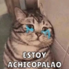 ESTOY ACHICOPALAO