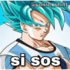 @sonic shitt si sos