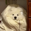(0 ?