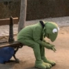 Kermit triste