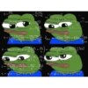 La rana Pepe 24