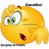 CRUZEIRO 6