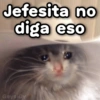 Jefesita no diga eso GeysiOy