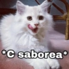 @Harley_Stickers
*C saborea*