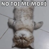 NO TOI ME MORÍ