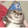 Cats cure depression 5