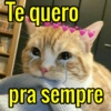 Te quero
pra sempre