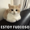 ESTOY FUDIOSO