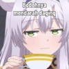 Bodohnya
mendarah daging
