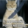 TE ACOMPAÑO, PERO ENOJADO