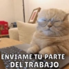 ENVÍAME TU PARTE
DEL TRABAJO