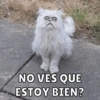 NO VES QUE ESTOY BIEN?