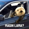 MASIH LAMA?