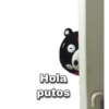 Hola
putos