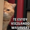 TE ESTOY VIGILANDO WASAUSKI