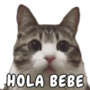 HOLA BEBE