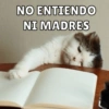 NO ENTIENDO
NI MADRES