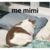 me mimi