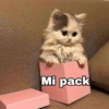 @Harley Stickers
Mi pack