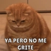 YA PERO NO ME GRITE