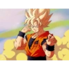 Goku 12