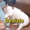BEST MEMES ENGRAÇADO S 10