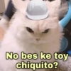 🐱Gatitos Shitposting 1🐈 12