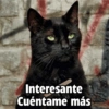 Payi
Interesante
Cuéntame más