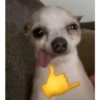 Stickers.zoe.perritos 12