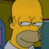 Homer Simpson 12