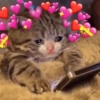 Muero De Amor 24