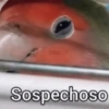 Sospechoso