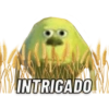www
INTRIGADO